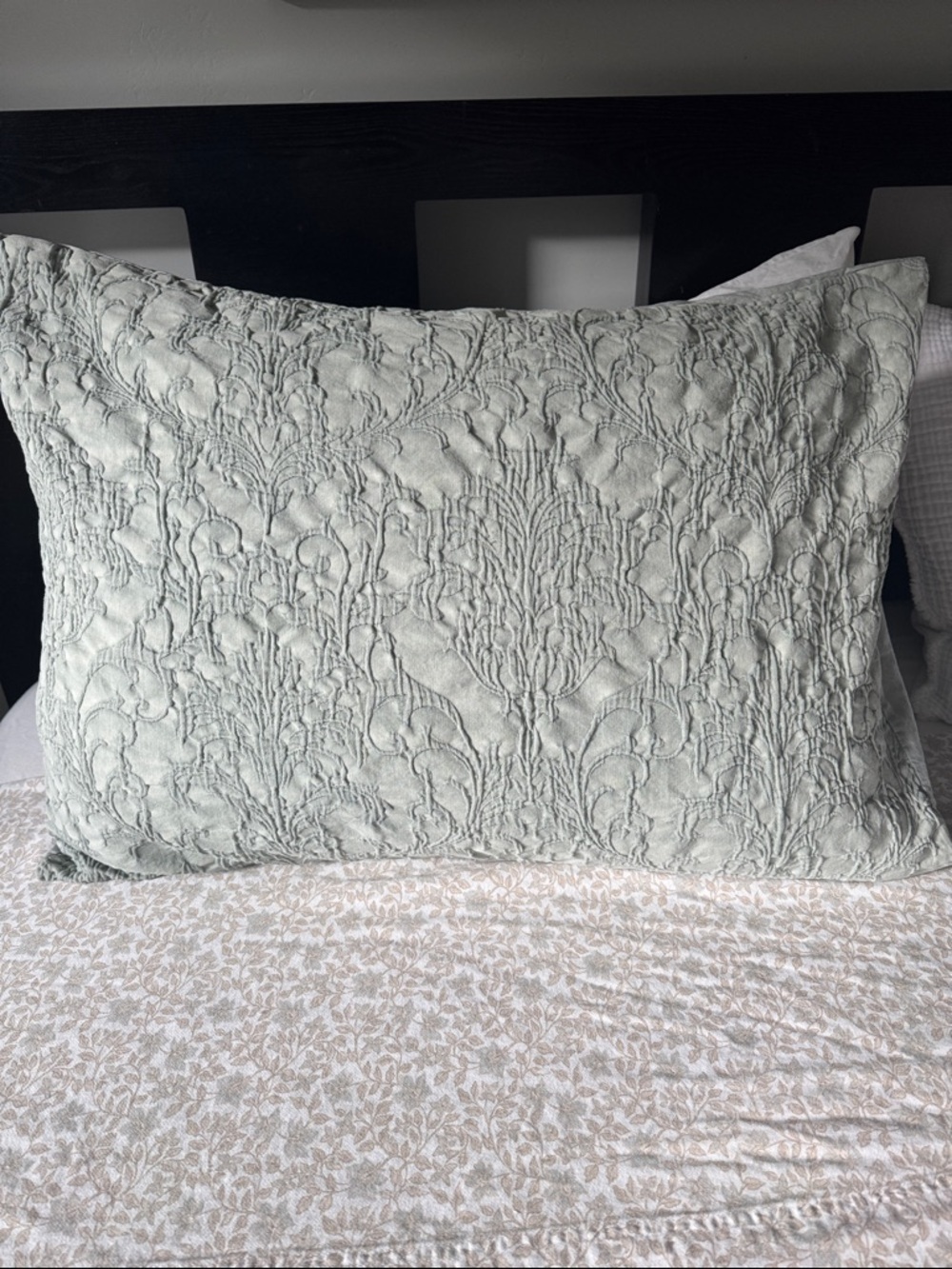 Artelier Nicole Miller 100% Cotton Textured Pillow Cases-Set of 2 STD Medallion